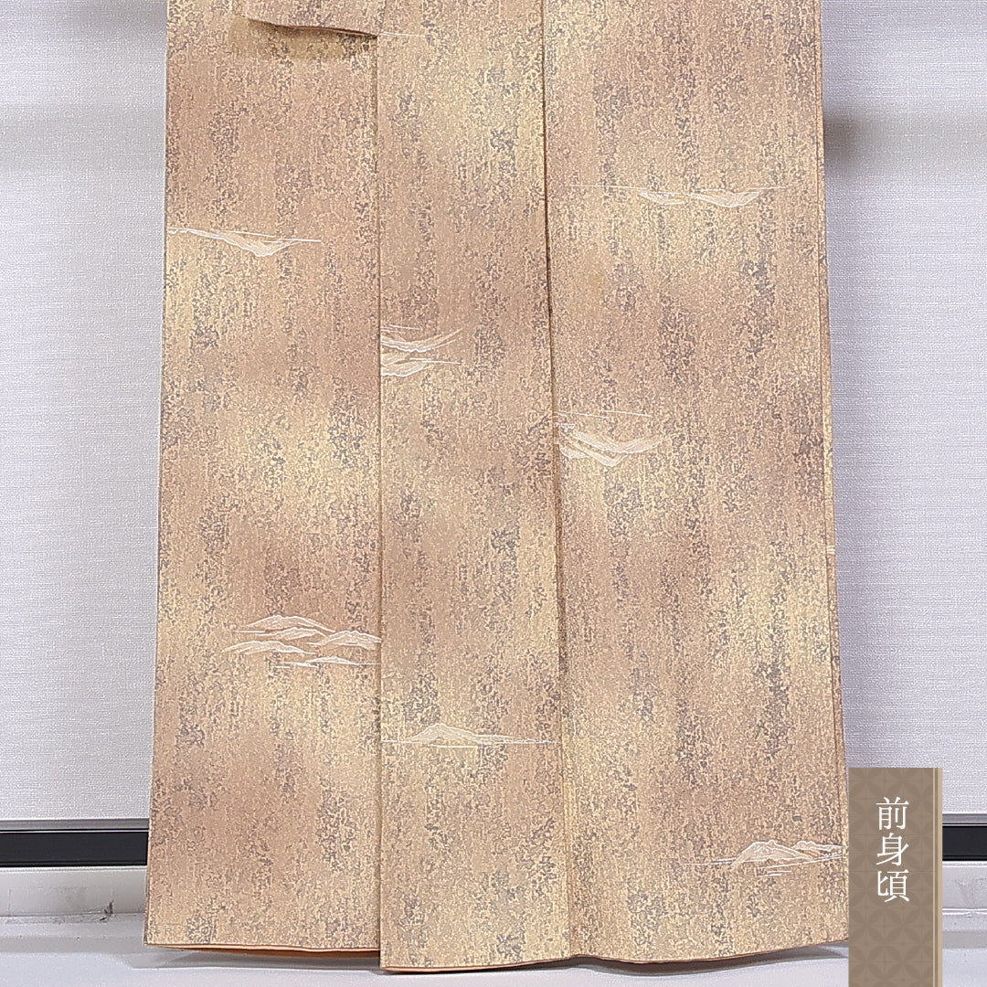 紬 袷 身丈160cm 裄丈64cm 正絹 Bランク カジュアル 広衿 Lサイズ 染め紬 創作柄 茶系 RP 1223-10901
