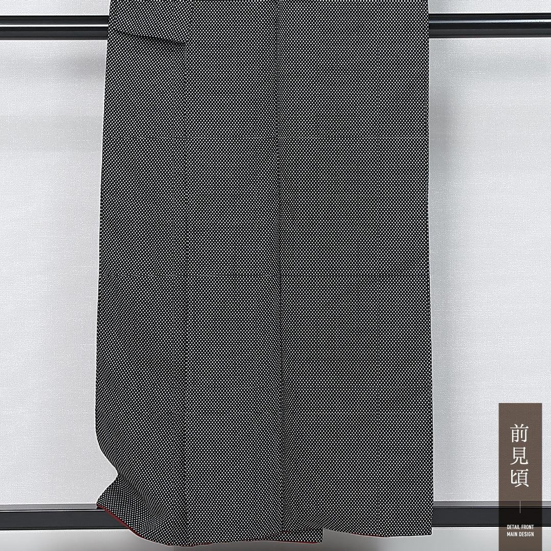 江戸小紋 身丈154cm 裄丈62.5cm Bランク S 正絹 袷 広衿 角通し セミフォーマル 黒系 1262-11880