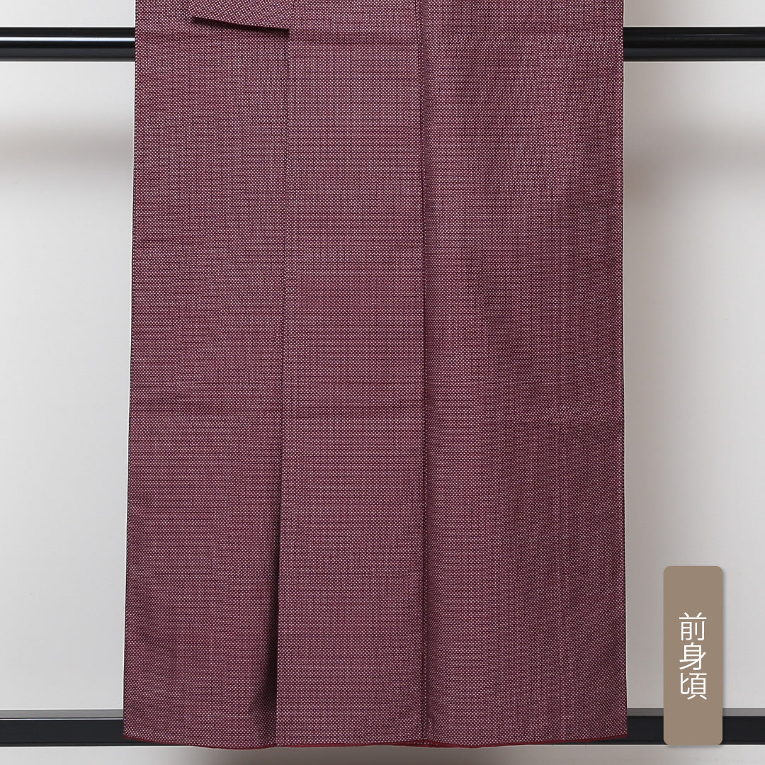 紬 袷 身丈153cm 裄丈64cm 正絹 Aランク カジュアル 広衿 Sサイズ 蚊絣 赤系 RP 1223-03082