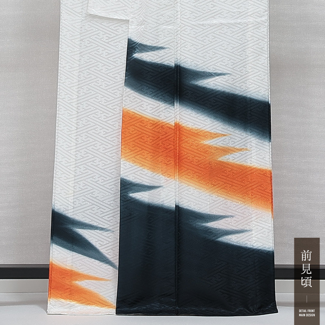訪問着 単衣 洗える着物 身丈163cm 裄丈66cm Bランク ポリエステル 広衿 Lサイズ 一つ紋(抱き稲) インフォーマル 創作柄 独創的 存在感 白系 1212-14413
