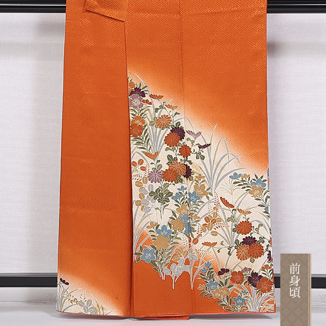 訪問着 身丈159cm 裄丈66cm 正絹 Aランク 袷 広衿 菊 菖蒲 紋意匠 紗綾形 1212-10405