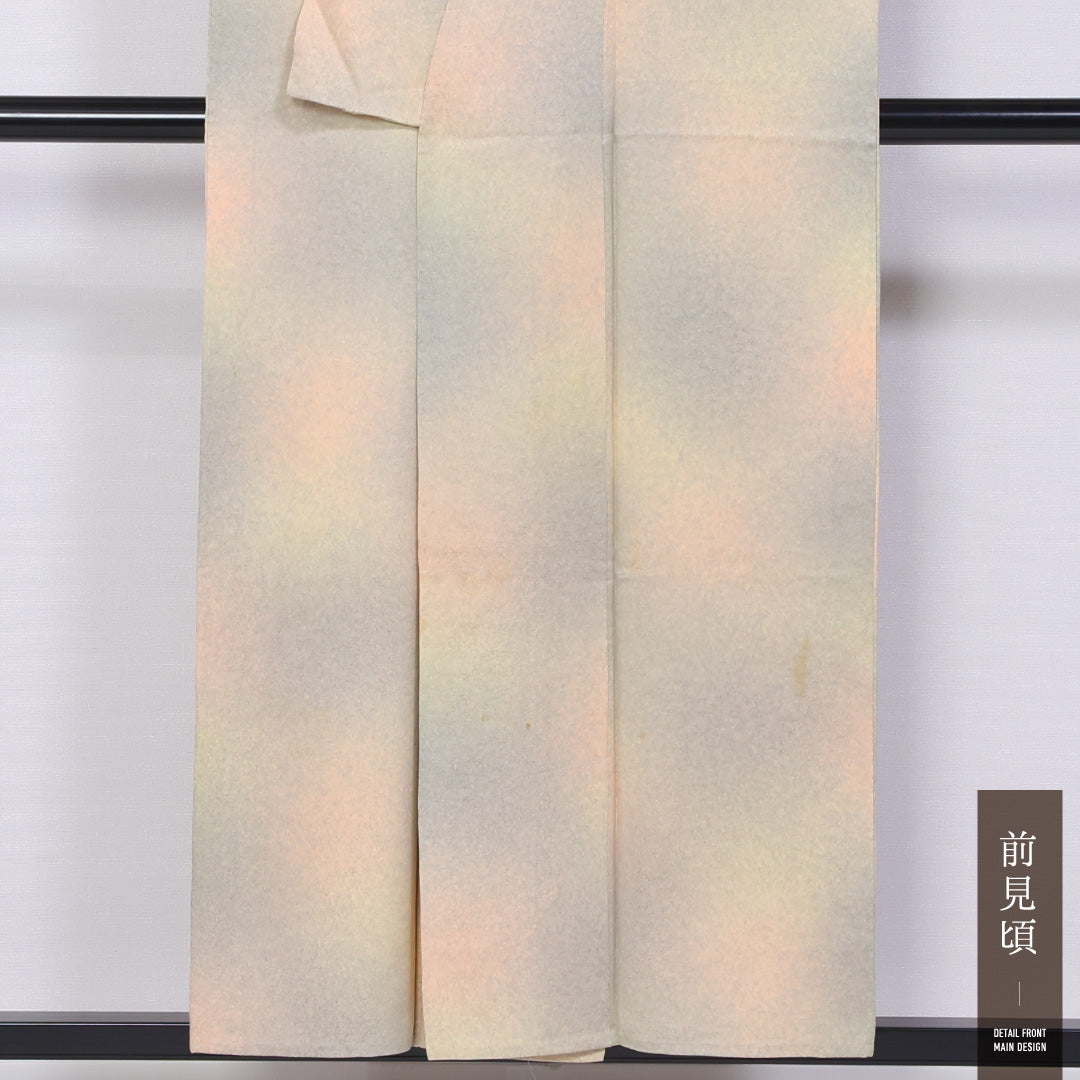 小紋 身丈152cm 裄丈62cm S 正絹 Bランク 袷 広衿 ぼかし 1215-11441