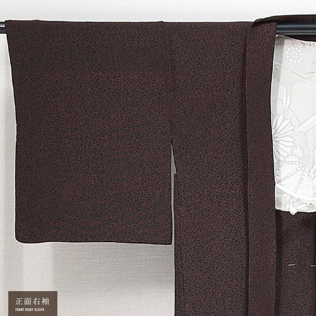 絵羽羽織 袷 身丈79cm 裄丈64cm 正絹 Sランク 一つ紋 (五三桐) セミフォーマル Mサイズ 紐あり 菊 黒系 RP 1234-14762