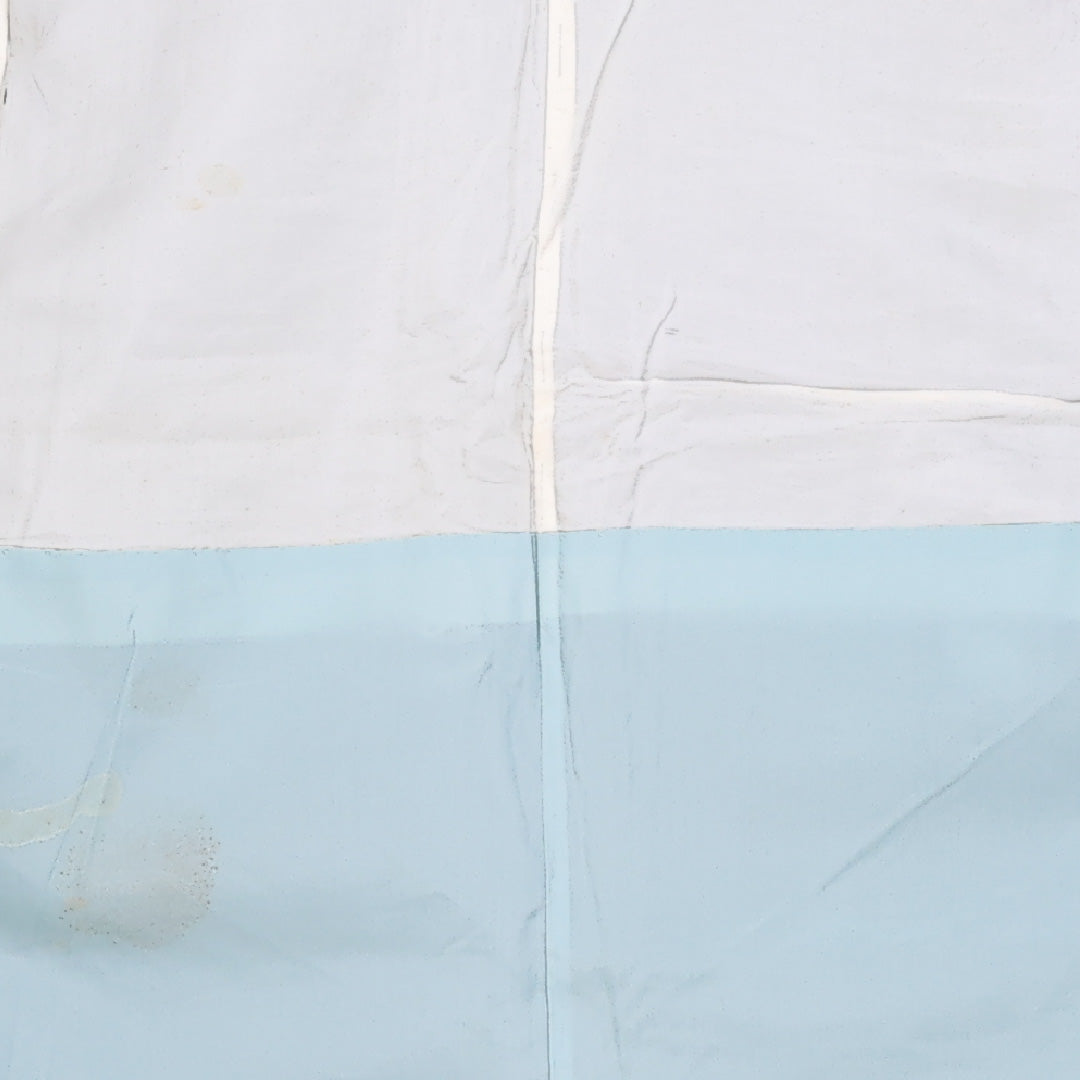 アンティーク 紬 身丈149cm 裄丈62cm Aランク 袷 正絹 バチ衿 宝相華 1216-10096