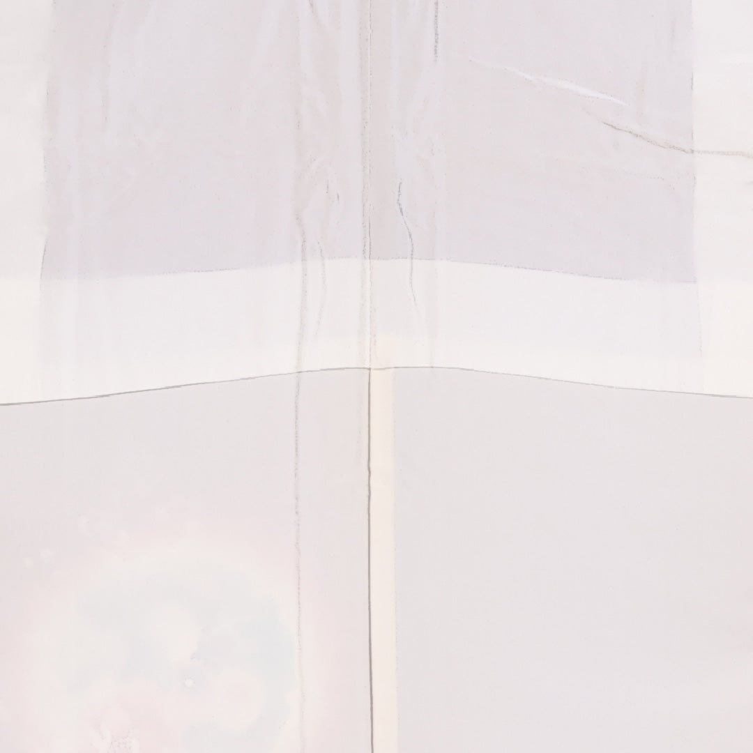 訪問着 袷 身丈157.5cm 裄62.5cm 正絹 牡丹 雪輪 ぼかし Sランク 1212-00831