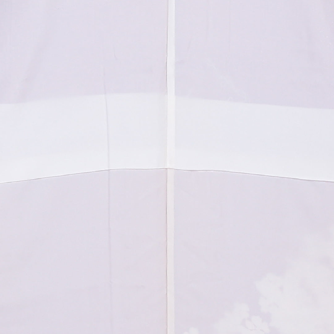 訪問着 袷 身丈160~164cm 裄66.5cm 正絹 牡丹 白系 Aランク 1212-00535