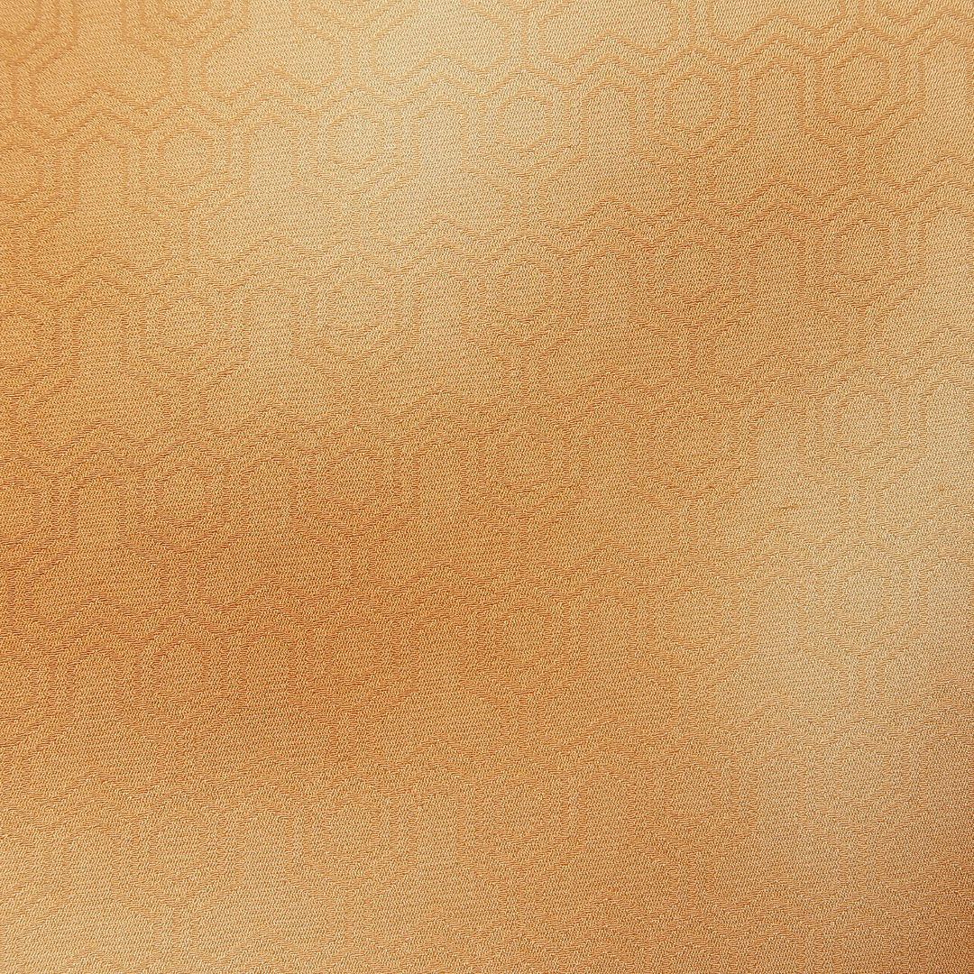 色無地 身丈154cm 裄丈64.5cm S 正絹 Aランク 袷 広衿 毘沙門亀甲 ぼかし 地紋あり 1214-10730