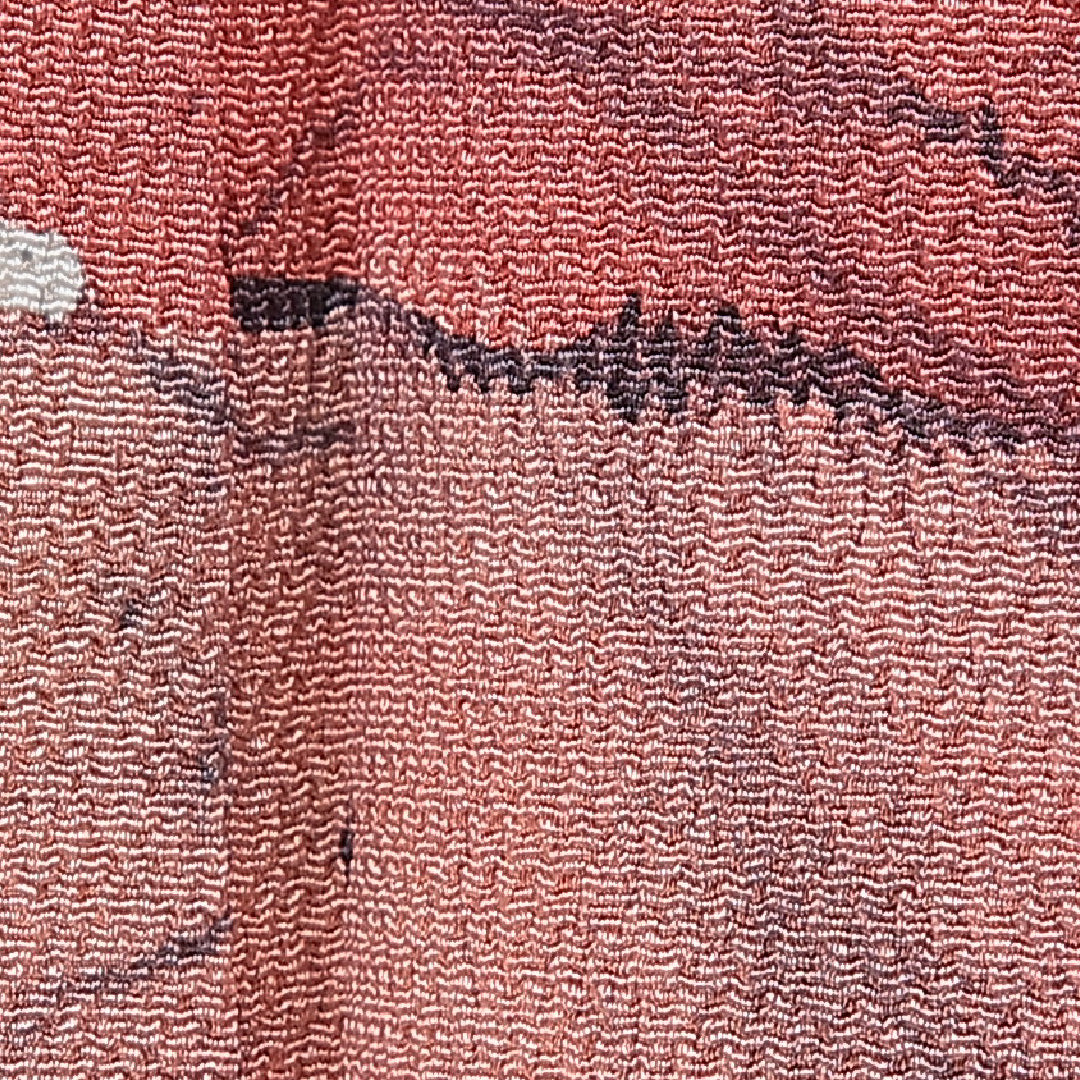 付下げ 袷 身丈162cm 裄丈63cm 正絹 Cランク Lサイズ 広衿 インフォーマル 創作柄 落款 クリーム系 1261-15659