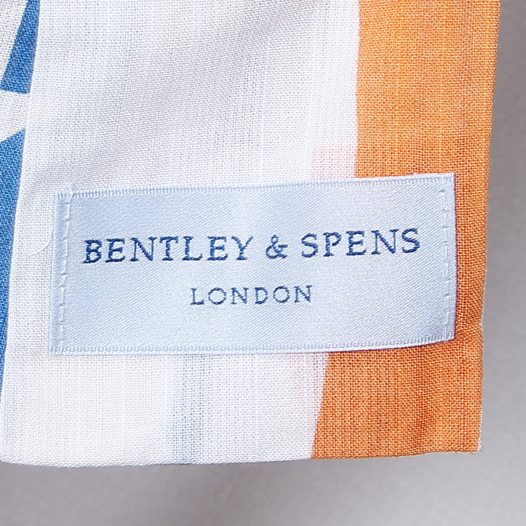 浴衣 身丈162cm 裄丈67.5cm Sランク L 木綿 洗える着物 単衣 バチ衿 BENTLEY&SPENS よろけ縞 笹 竹 カジュアル 白系 1218-12292