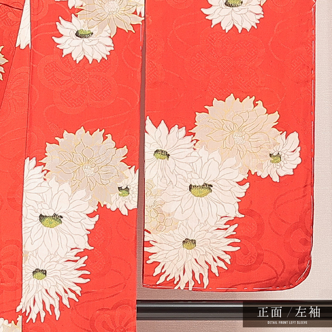 アンティーク 小振袖 (錦紗) 袷 身丈146cm 裄丈60cm 正絹 Aランク バチ衿 XSサイズ 菊 赤系 RP 1216-07106