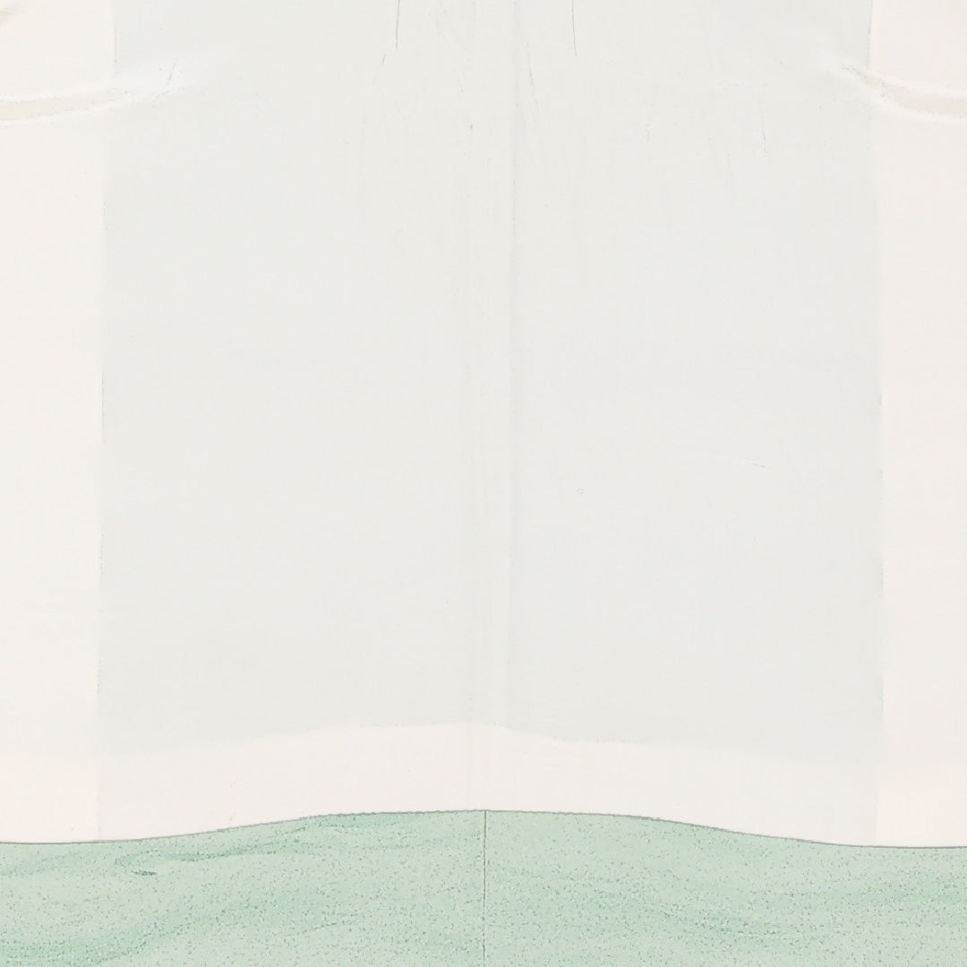 付下げ 袷 身丈165cm 裄丈64cm 正絹 Aランク インフォーマル 広衿 Mサイズ 織り出し 金箔 霞 砂子 緑系 RP 1218-17522