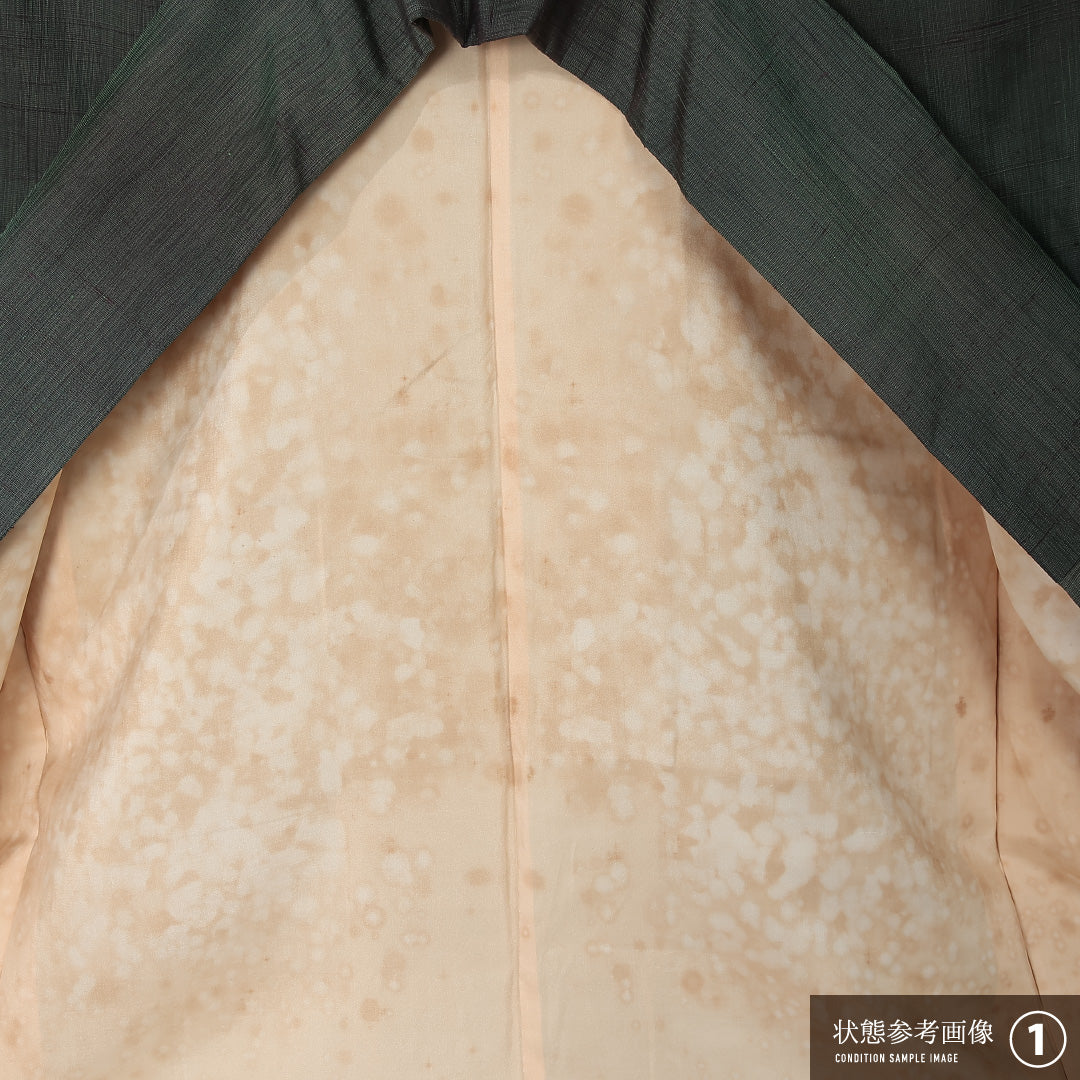 訪問着 袷 身丈160cm 裄丈64cm 正絹 Aランク 一つ紋 (花菱) セミフォーマル 広衿 Lサイズ ぼかし染 花柄 植物柄 緑系 RP 1217-12502