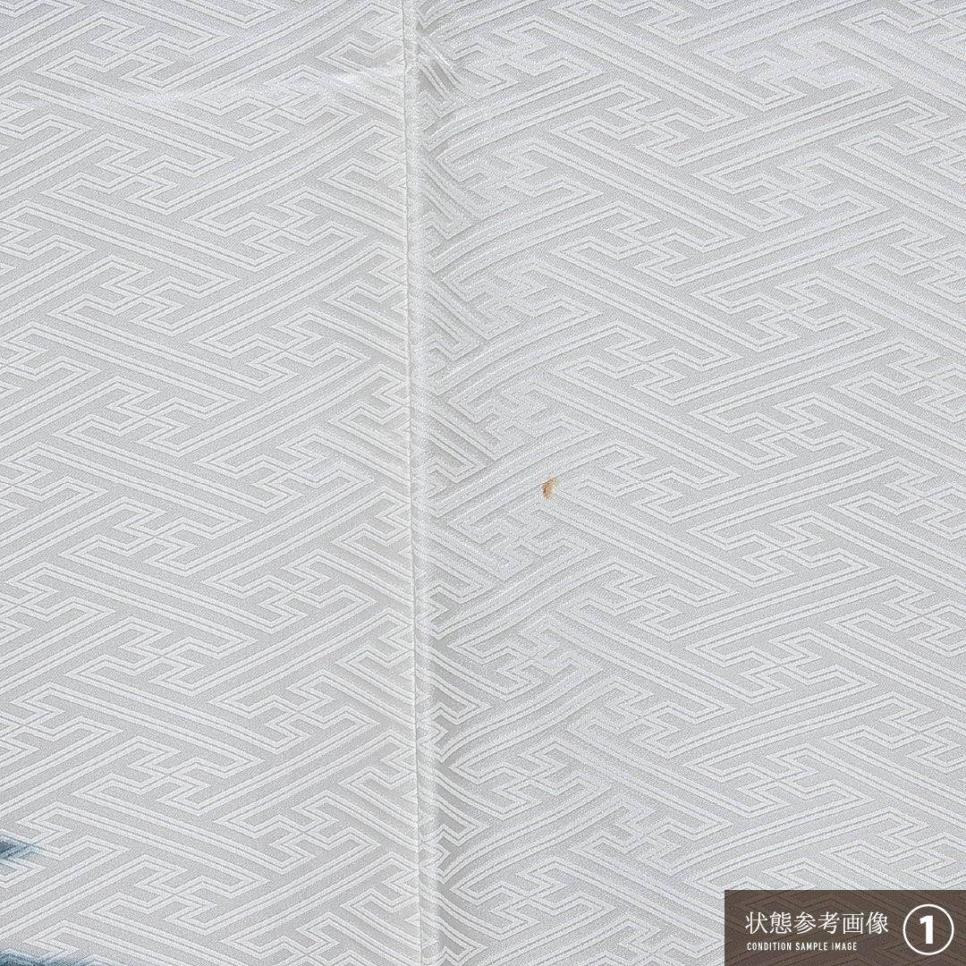 訪問着 単衣 洗える着物 身丈163cm 裄丈66cm Bランク ポリエステル 広衿 Lサイズ 一つ紋(抱き稲) インフォーマル 創作柄 独創的 存在感 白系 1212-14413