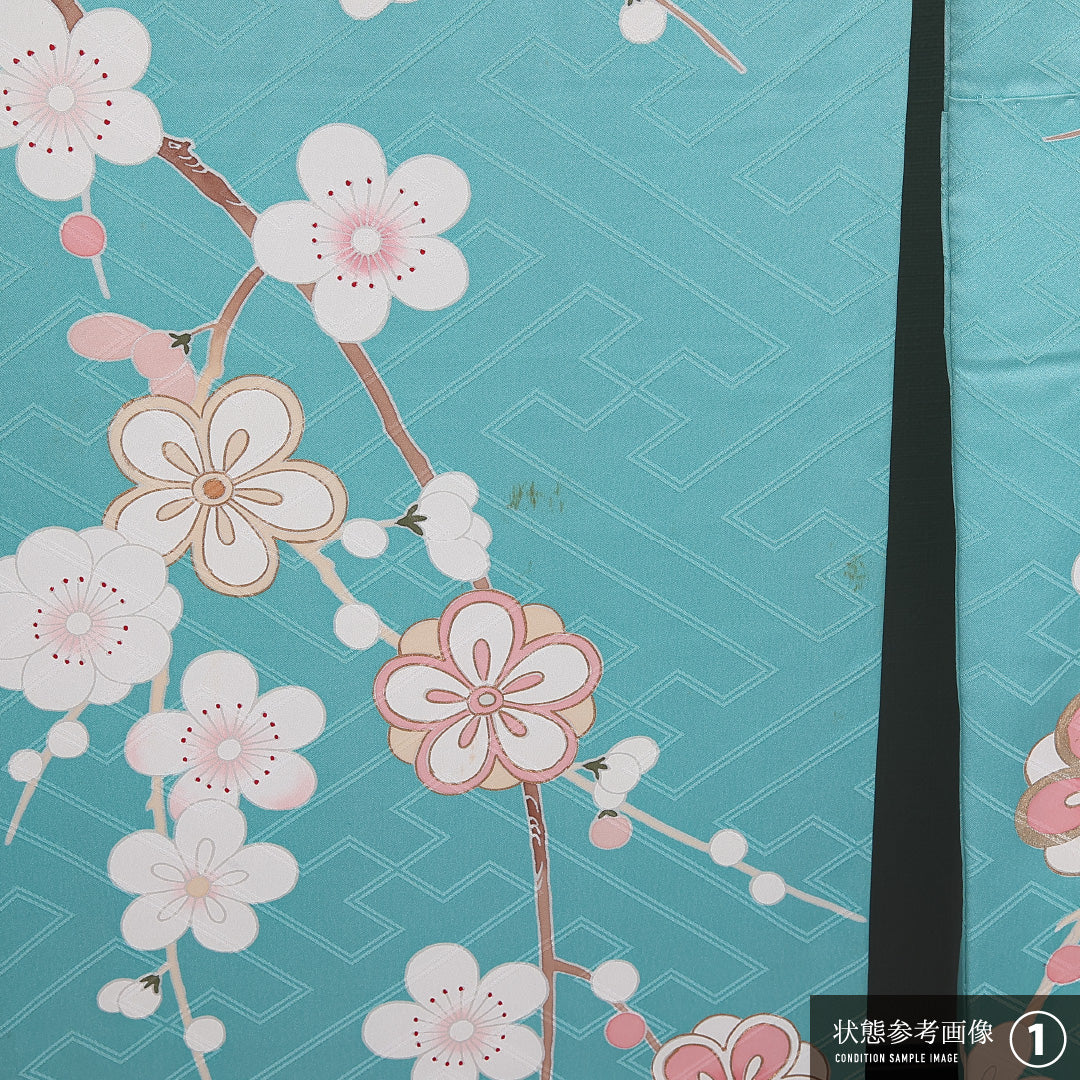 振袖 身丈159cm 裄丈65.5cm 袷 正絹 Bランク 広衿 梅 流水 1213-F0383
