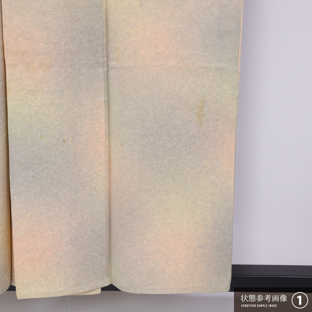 小紋 身丈152cm 裄丈62cm S 正絹 Bランク 袷 広衿 ぼかし 1215-11441