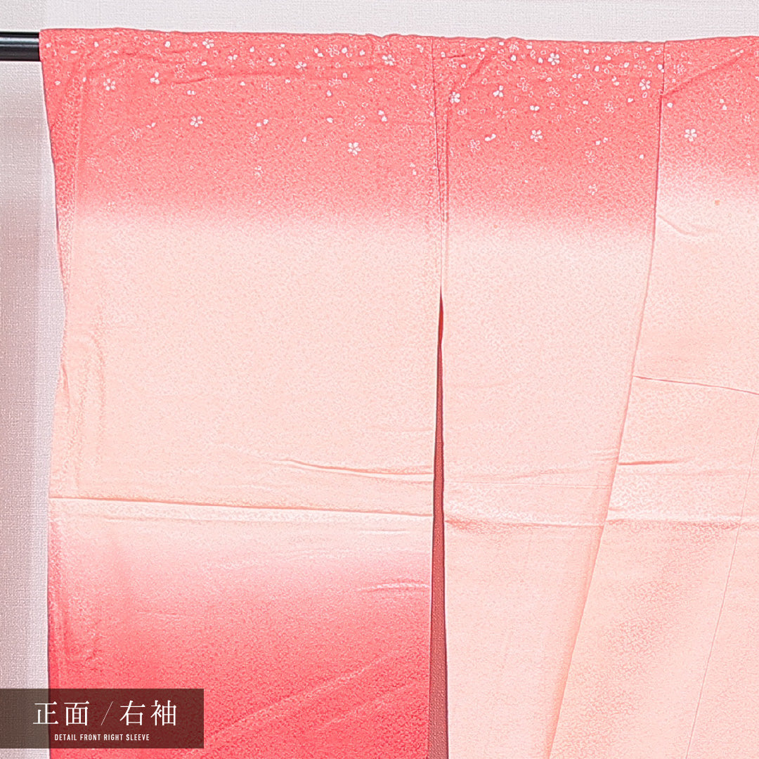 洗える着物 小振袖 袷 身丈168cm 裄丈66cm ポリエステル Sランク セミフォーマル 広衿 XLサイズ 桜 ピンク系 RP 1216-07041