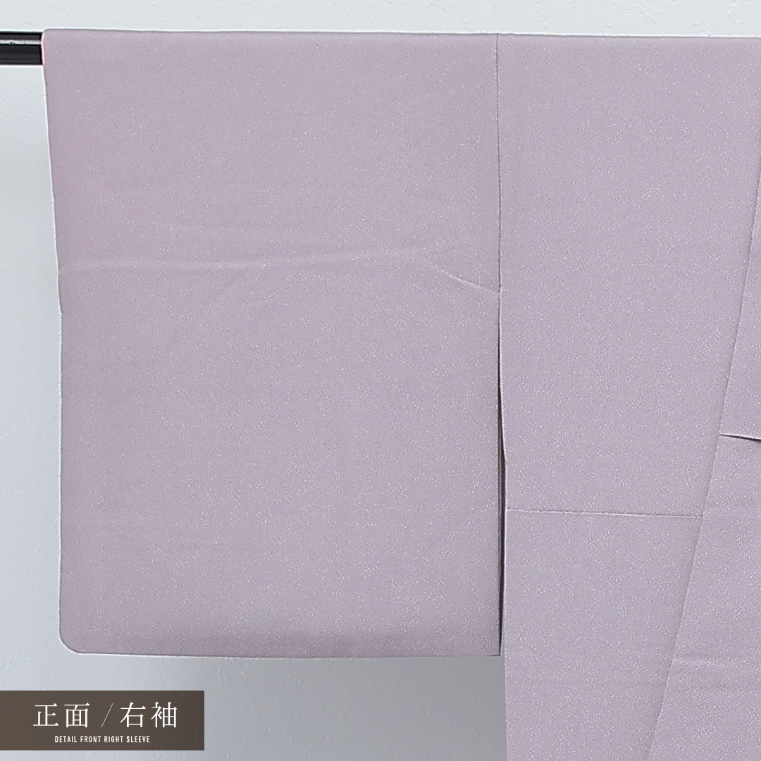 訪問着 袷 身丈154cm 裄丈64cm 正絹 Sランク セミフォーマル 広衿 Sサイズ 四季山野 紫系 RP 1217-17239
