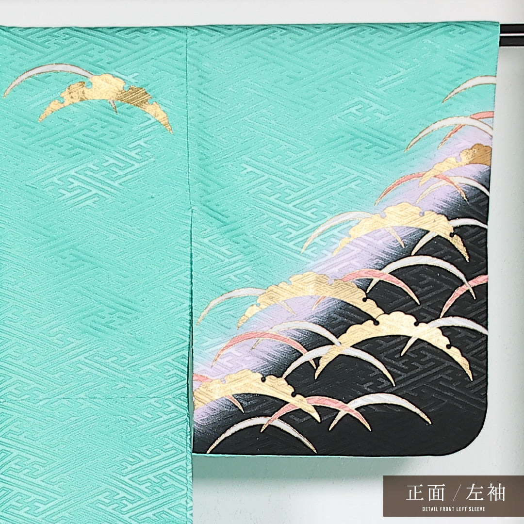 洗える着物 訪問着 袷 身丈158cm 裄丈65cm ポリエステル Sランク 踊り用 バチ衿 Mサイズ 雪輪 緑系 LP 1217-17513