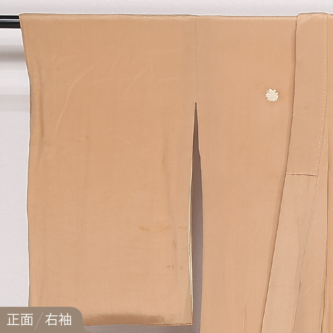 色留袖 袷 身丈162cm 裄丈63cm 正絹 Dランク 五つ紋 (揚羽蝶) フォーマル バチ衿 Lサイズ 菊 松 ベージュ系 GP 1214-06853