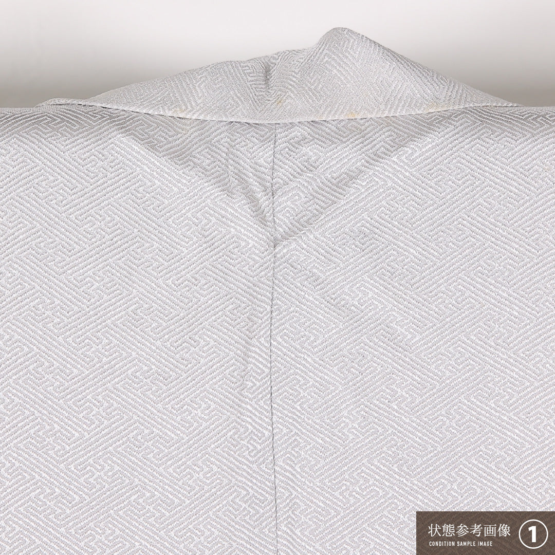 訪問着 袷 身丈161cm 裄丈65cm 正絹 Cランク セミフォーマル 広衿 Lサイズ 刺繍 花扇 グレー系 RP 1217-17519