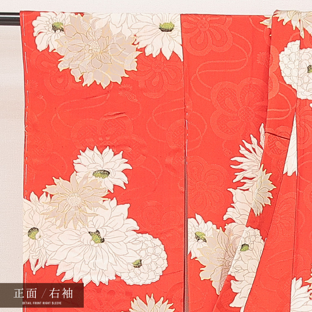 アンティーク 小振袖 (錦紗) 袷 身丈146cm 裄丈60cm 正絹 Aランク バチ衿 XSサイズ 菊 赤系 RP 1216-07106
