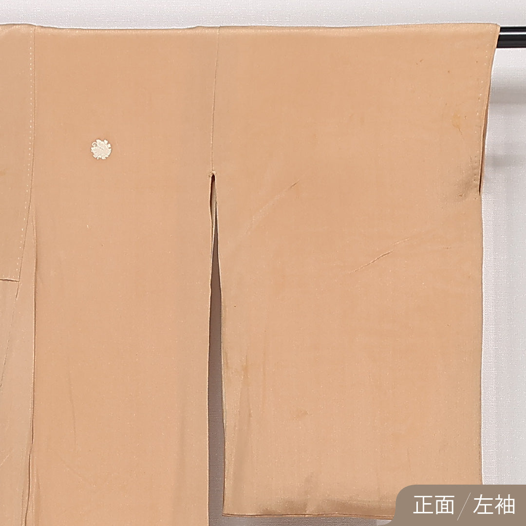 色留袖 袷 身丈162cm 裄丈63cm 正絹 Dランク 五つ紋 (揚羽蝶) フォーマル バチ衿 Lサイズ 菊 松 ベージュ系 GP 1214-06853
