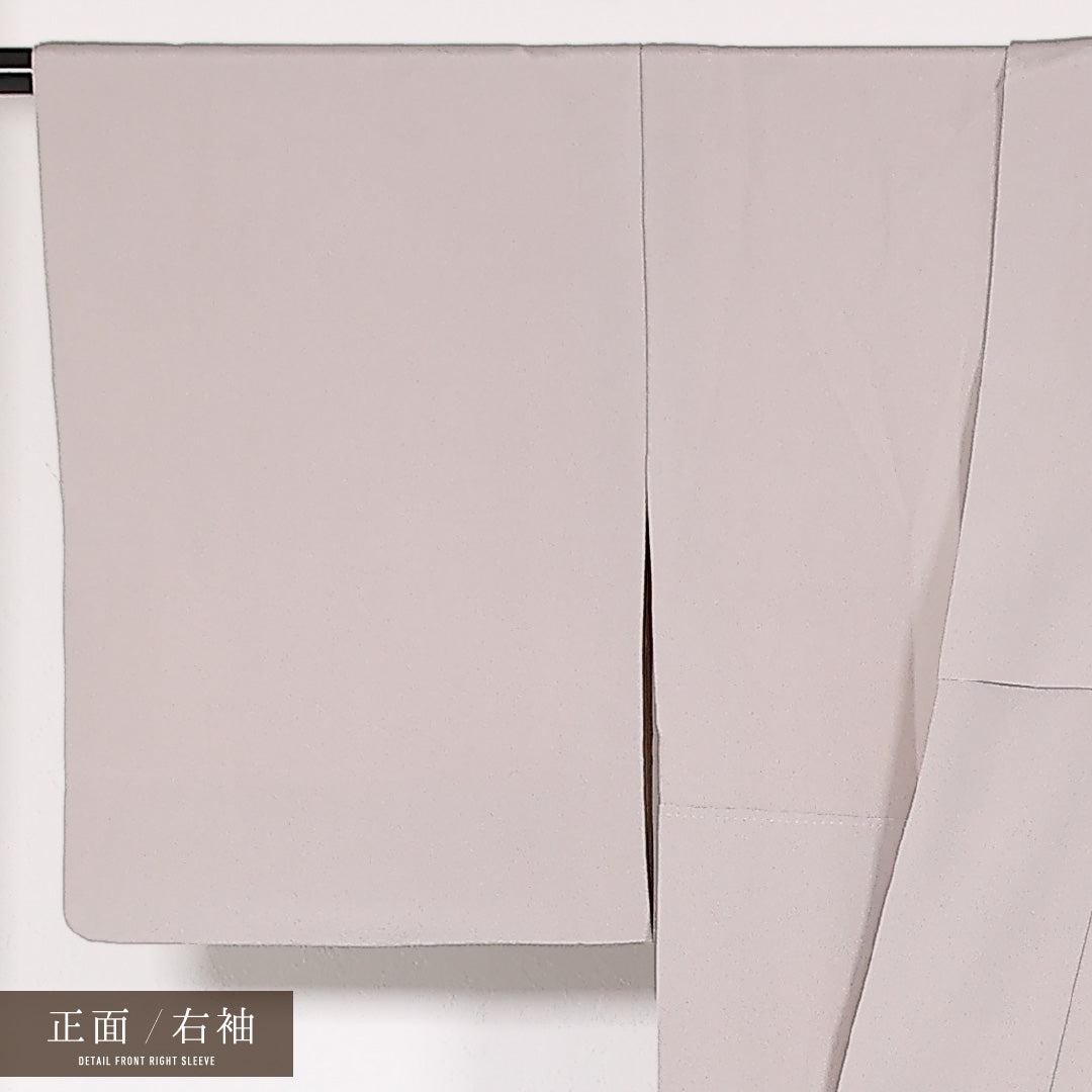 色留袖 袷 身丈163cm 裄丈64cm 正絹 Aランク 一つ紋 (五三桐) セミフォーマル 広衿 Sサイズ 琳派 金彩 金駒刺繍 群鶴流水紋 紫系 RP 1214-17524
