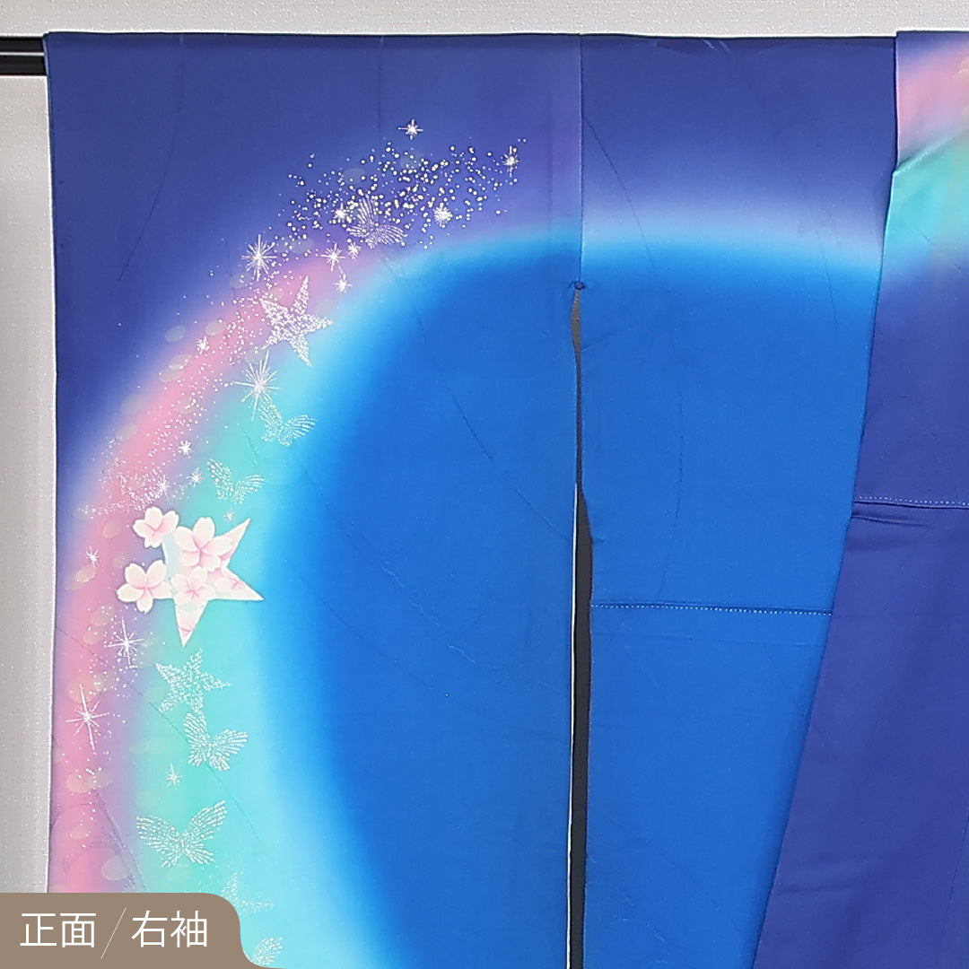 振袖 袷 身丈166cm 裄丈66cm 正絹 Aランク フォーマル 広衿 XLサイズ 蝶 鳩 青系 RP 1215-06802
