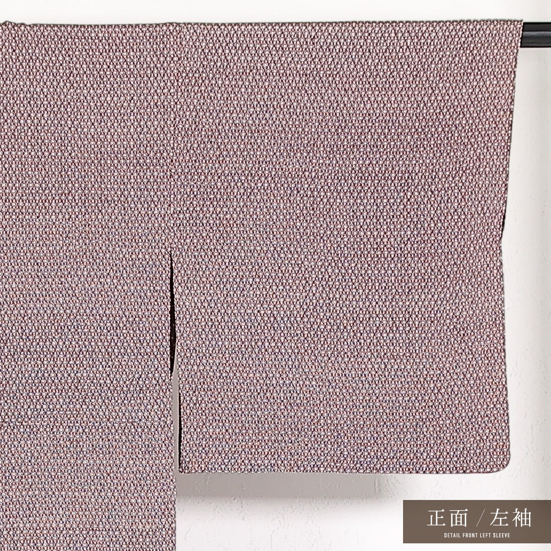 小紋 袷 身丈151cm 裄丈62cm 正絹 Cランク インフォーマル 広衿 XSサイズ 創作柄 紫系 RP 1221-17399