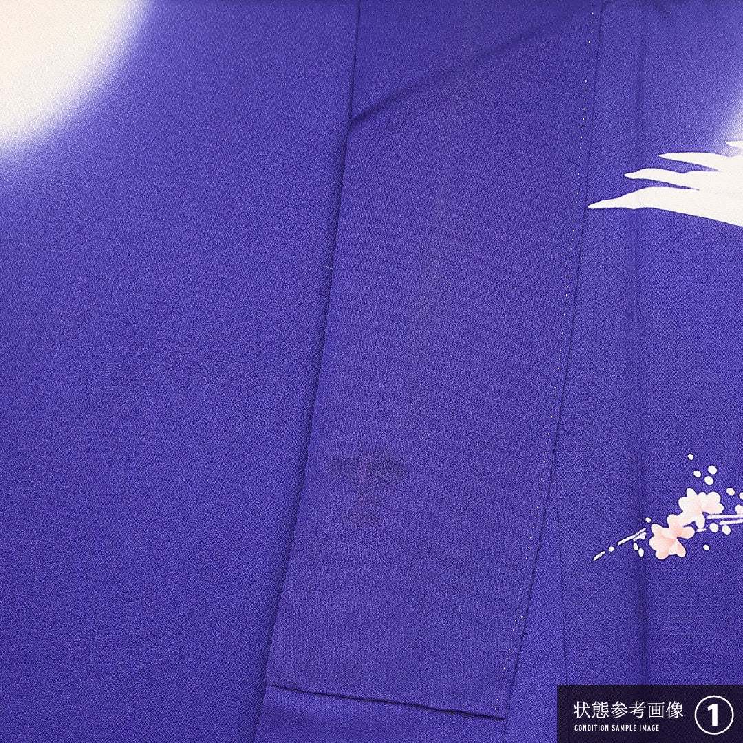 振袖 袷 身丈166cm 裄丈65cm 正絹 Bランク フォーマル 広衿 XLサイズ 鳳凰 青系 RP 1215-06801