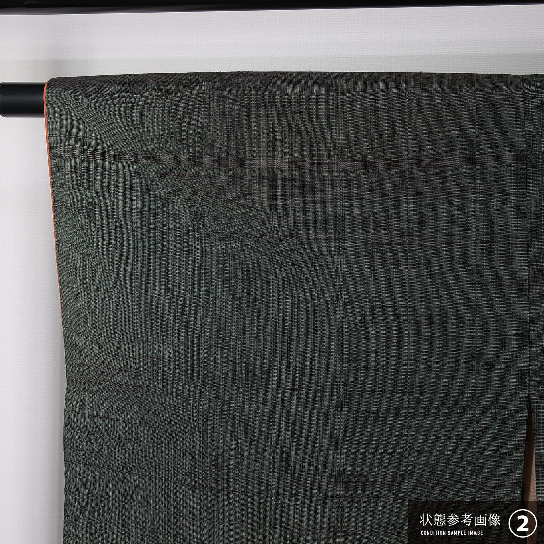 訪問着 袷 身丈160cm 裄丈64cm 正絹 Aランク 一つ紋 (花菱) セミフォーマル 広衿 Lサイズ ぼかし染 花柄 植物柄 緑系 RP 1217-12502