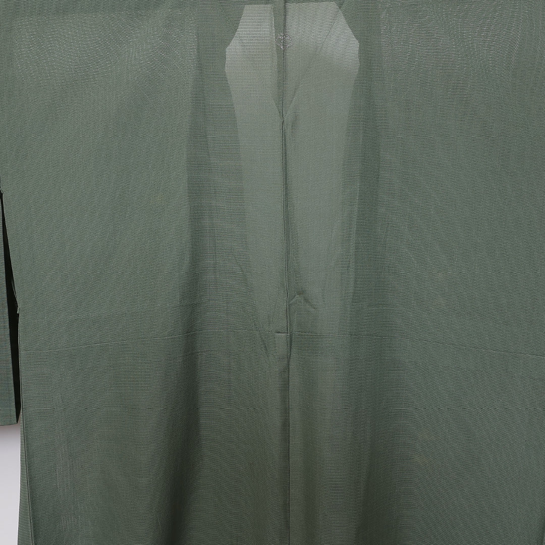 付下げ 夏物 絽 身丈151cm 裄丈63cm 正絹 Aランク Sサイズ 広衿 一つ紋(蔦) セミフォーマル 創作柄 緑系 1261-04668