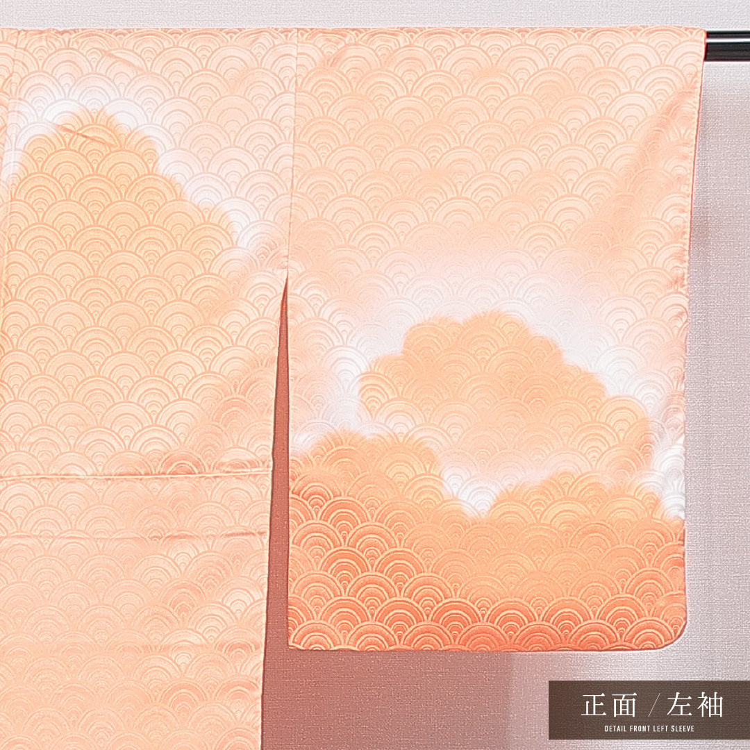 付下げ 洗える着物 袷 身丈162cm 裄丈66cm ポリエステル Bランク Lサイズ 広衿 インフォーマル 紋意匠 青海波 雲取り 朱系 1261-16315