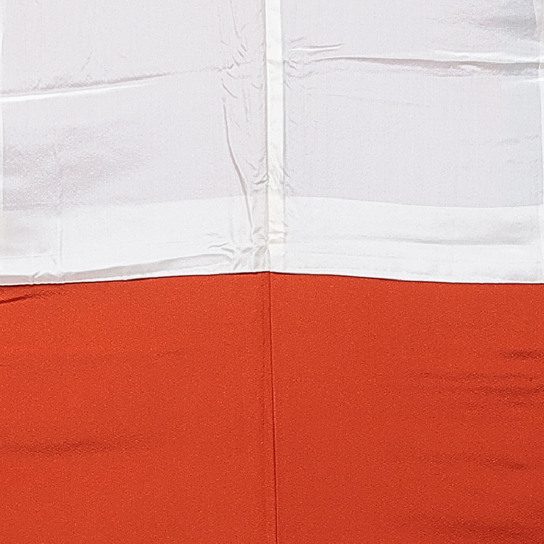 訪問着 袷 身丈156cm 裄丈65cm 正絹 Aランク Mサイズ 広衿 セミフォーマル 手描き友禅 ちりめん 籠目 梅 笠松 ぼかし染 金彩 作家物 落款 朱系 1212-15879