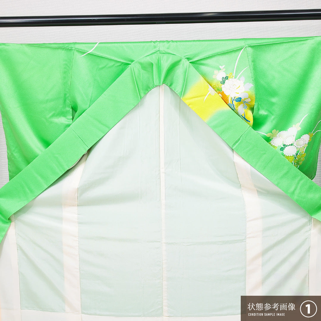 訪問着 袷 身丈167cm 裄丈62cm 正絹 Aランク セミフォーマル 広衿 XLサイズ 尾長鳥 牡丹 緑系 RP 1217-15085