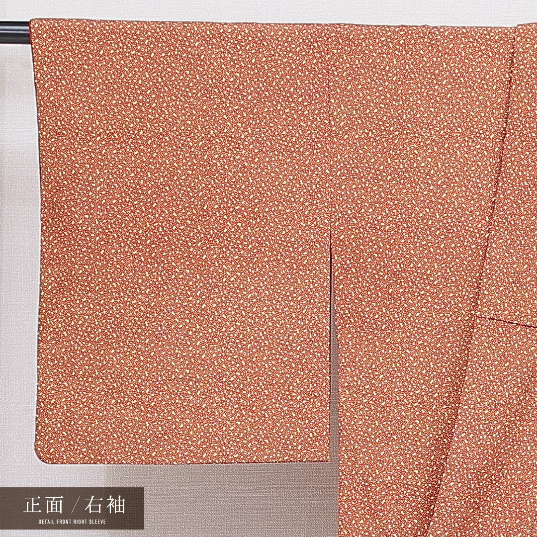 洗える着物 小紋 袷 身丈161cm 裄丈62cm ポリエステル Aランク インフォーマル 広衿 Lサイズ 抽象柄 赤系 RP 1221-16435