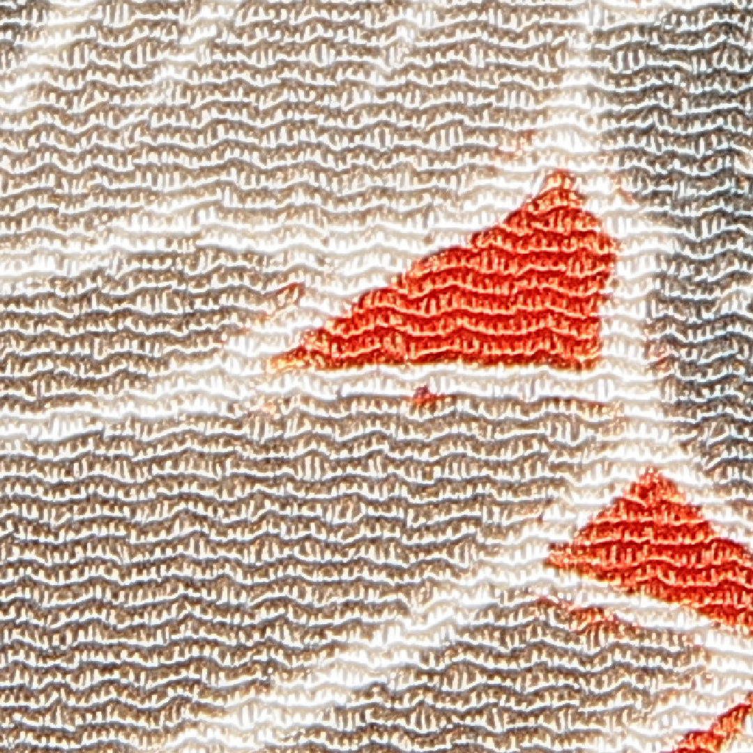 アンティーク 羽織 袷 身丈87cm 裄丈67cm 正絹 Bランク Mサイズ ちりめん 菊 赤系 1217-16813