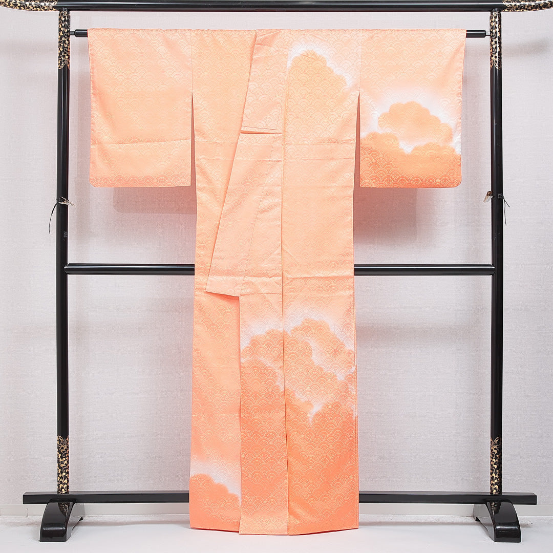 付下げ 洗える着物 袷 身丈162cm 裄丈66cm ポリエステル Bランク Lサイズ 広衿 インフォーマル 紋意匠 青海波 雲取り 朱系 1261-16315