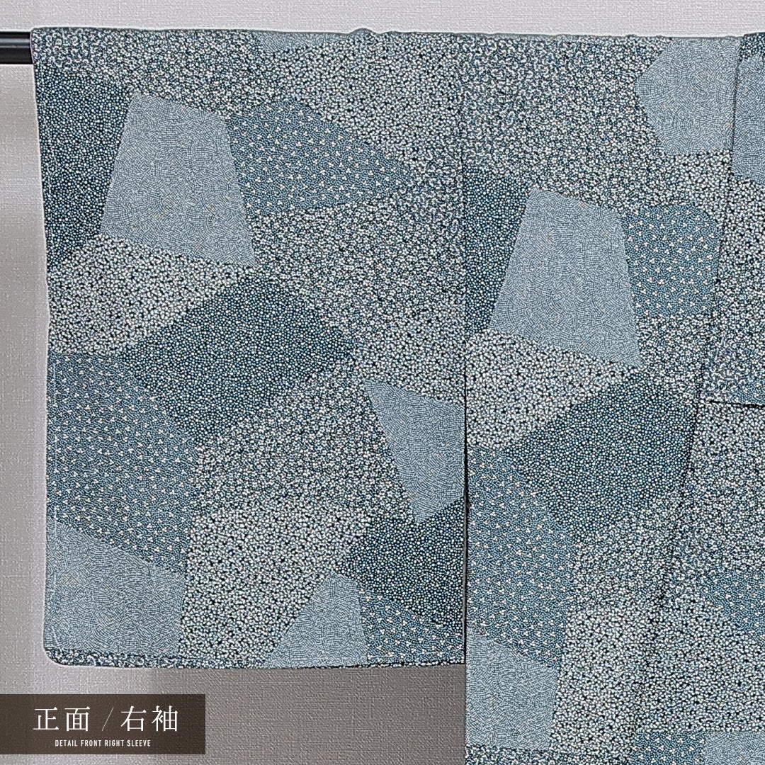 洗える着物 小紋 袷 身丈161cm 裄丈60cm ポリエステル Sランク インフォーマル 広衿 Lサイズ 青系 RP 1221-16032