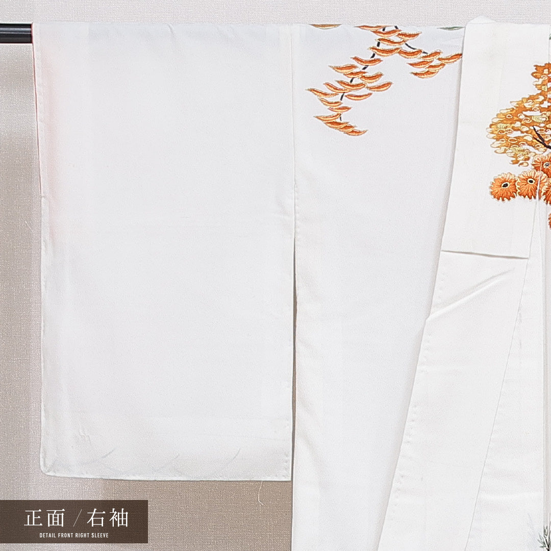 訪問着 洗える着物 袷 身丈158cm 裄丈63cm ポリエステル Cランク Mサイズ 広衿 セミフォーマル 風景柄 白系 1212-16256