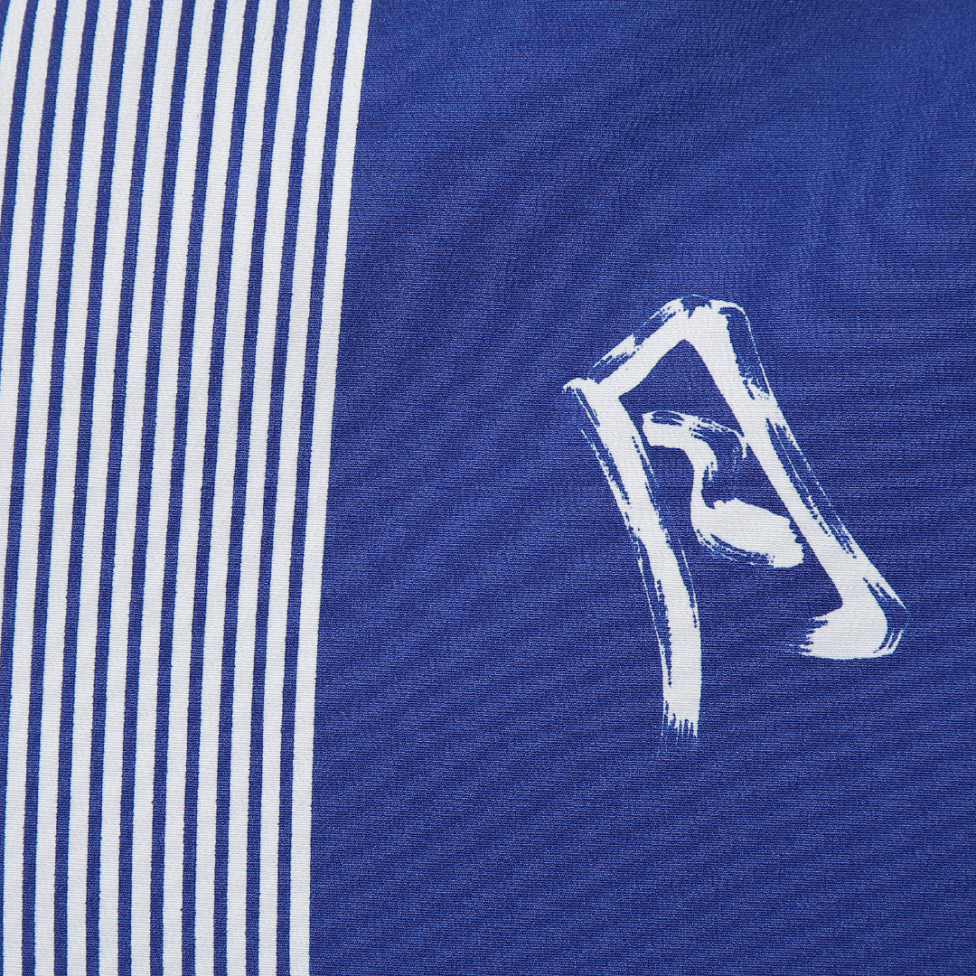 小紋 洗える着物 胴抜き 身丈165cm 裄丈68cm ポリエステル Dランク XLサイズ 広衿 インフォーマル 文字 縞 青系 1215-16322