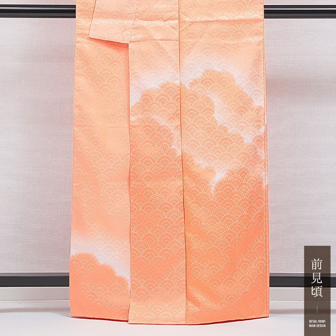 付下げ 洗える着物 袷 身丈162cm 裄丈66cm ポリエステル Bランク Lサイズ 広衿 インフォーマル 紋意匠 青海波 雲取り 朱系 1261-16315