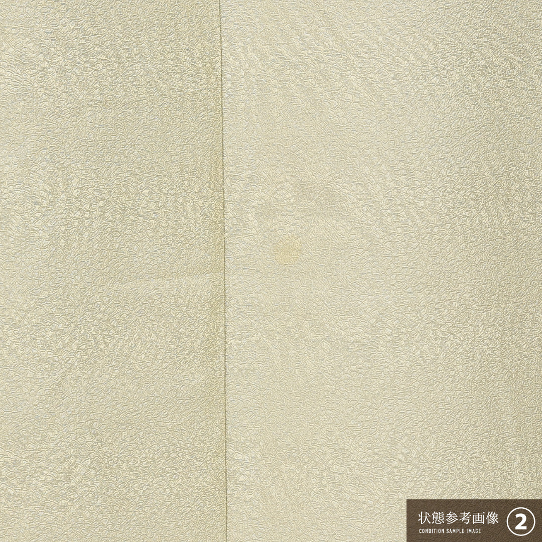 色無地 袷 身丈152cm 裄丈61cm 正絹 Bランク 一つ紋 (八つ鷹の羽車) セミフォーマル 広衿 Sサイズ 草木染め 本草木染作家 瑞寶 作家物 落款 無地 緑系 RP 1219-15211