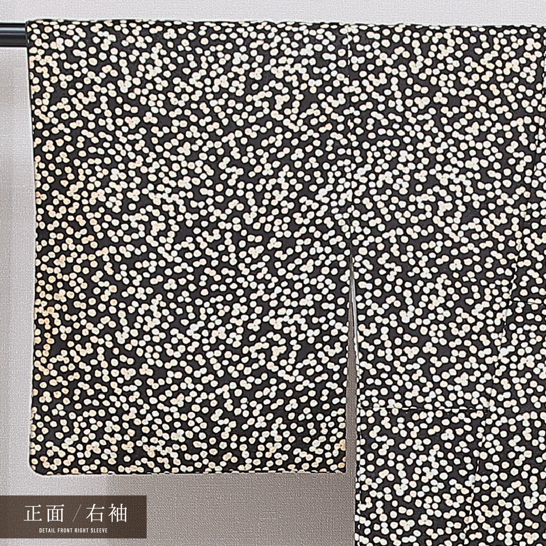 小紋 袷 身丈157cm 裄丈63cm 正絹 Cランク インフォーマル 広衿 Mサイズ ドット 黒系 LP 1221-16009