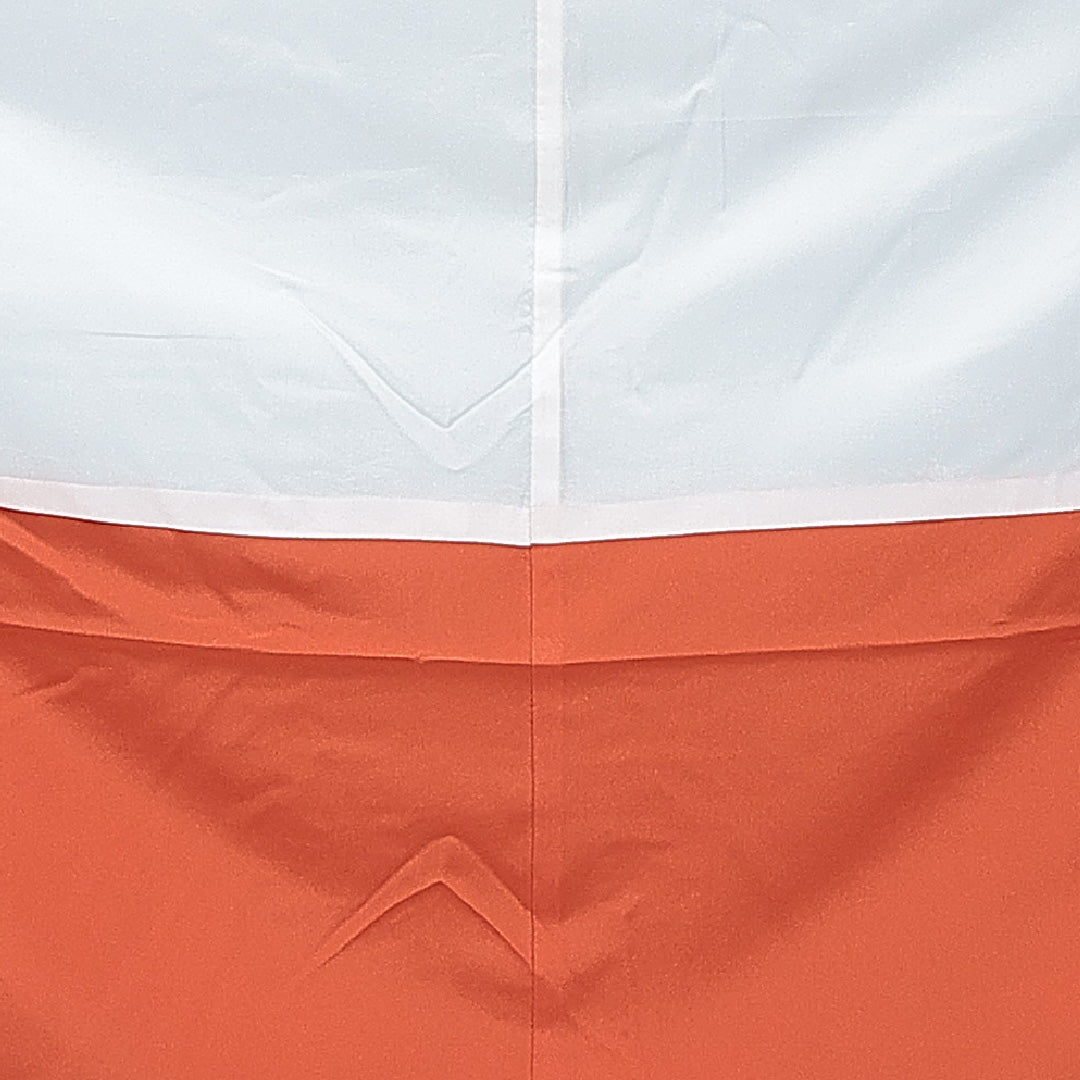 振袖 袷 身丈169cm 裄丈65cm フォーマル Aランク XLサイズ ポリエステル 洗える着物 広衿 蝶 菊 1213-F0717