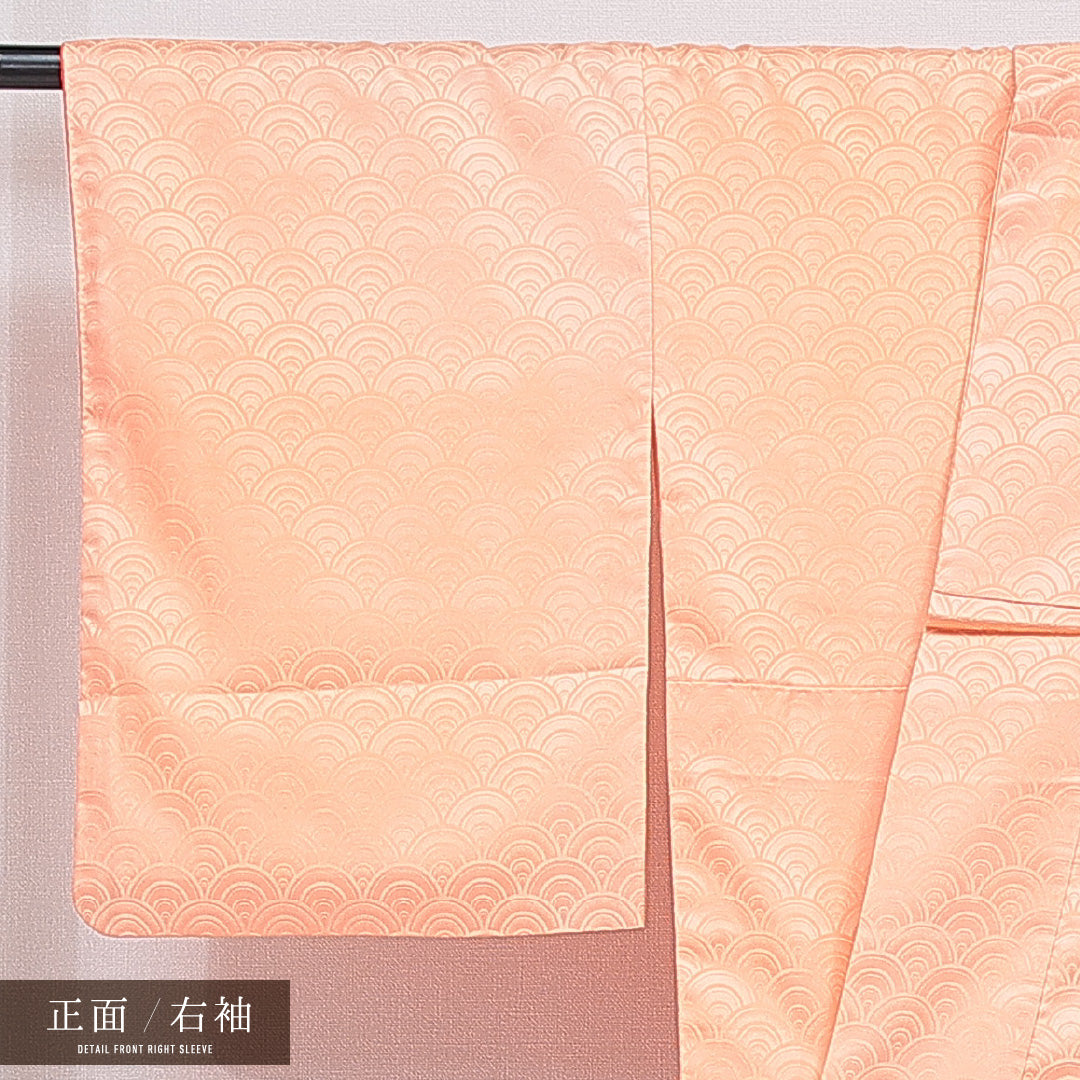 付下げ 洗える着物 袷 身丈162cm 裄丈66cm ポリエステル Bランク Lサイズ 広衿 インフォーマル 紋意匠 青海波 雲取り 朱系 1261-16315