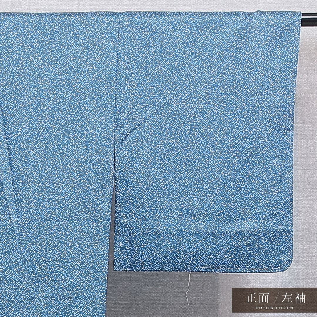 江戸小紋(大小霰) 洗える着物 袷 身丈164cm 裄丈66cm ポリエステル Sランク Lサイズ 広衿 インフォーマル 青系 1262-16278