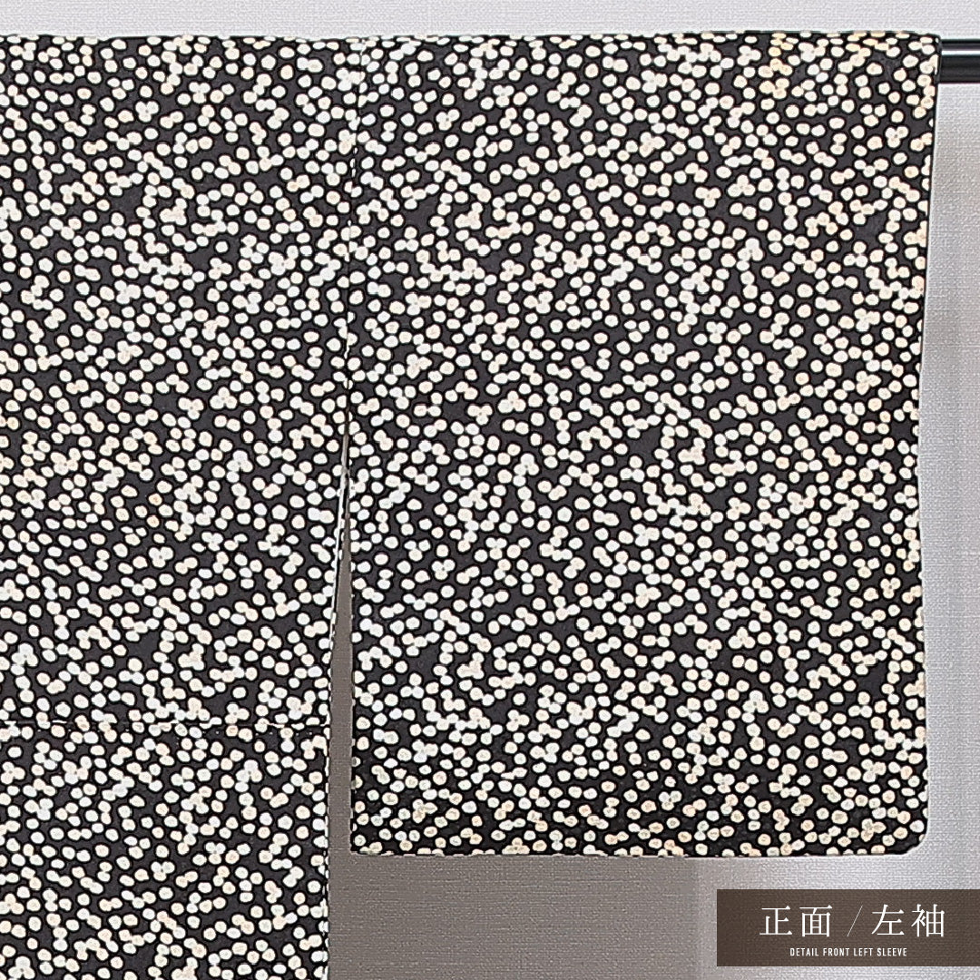 小紋 袷 身丈157cm 裄丈63cm 正絹 Cランク インフォーマル 広衿 Mサイズ ドット 黒系 LP 1221-16009