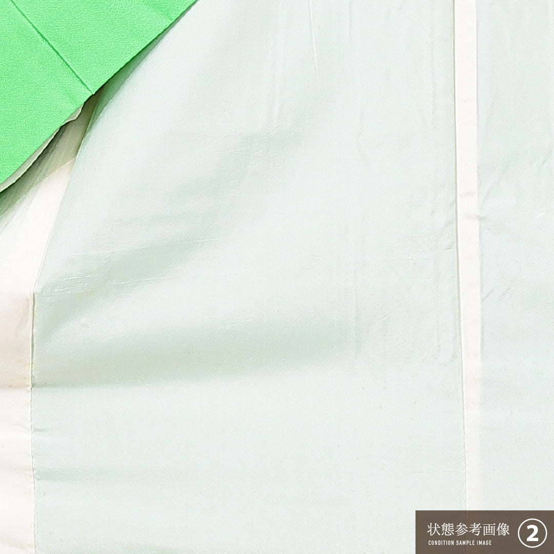 訪問着 袷 身丈167cm 裄丈62cm 正絹 Aランク セミフォーマル 広衿 XLサイズ 尾長鳥 牡丹 緑系 RP 1217-15085