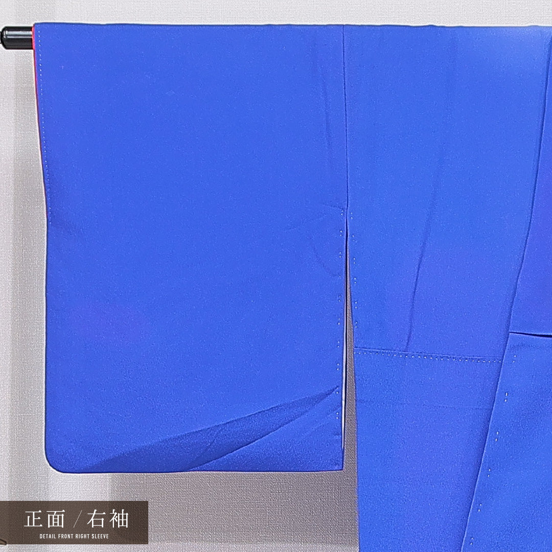 付下げ 袷 身丈162cm 裄丈67cm 正絹 Bランク インフォーマル バチ衿 Lサイズ ぼかし染 牡丹 青系 HP 1218-15895